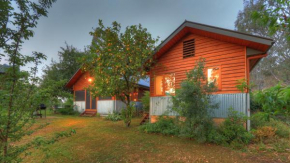 Buffalo River Homestead